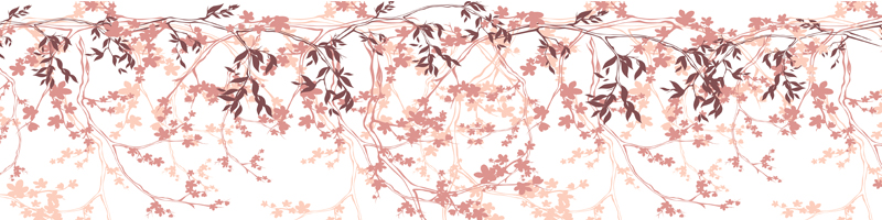 Sakura_blossom_panoraam_veeb